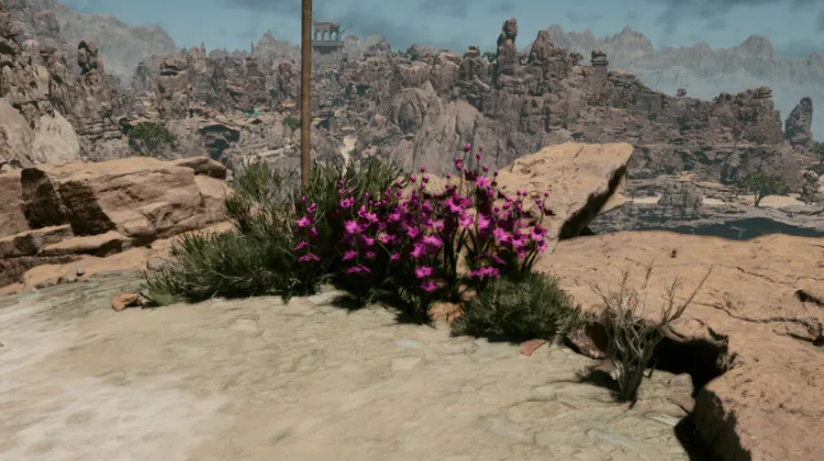 วายร์ของแอดเมธ