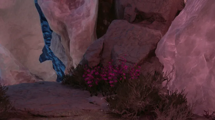 วัชพืชของแอดเมธ