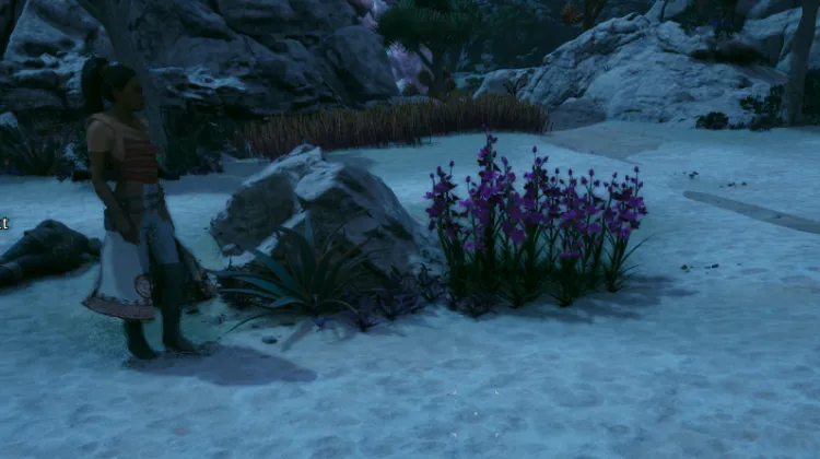 วัชพืชของแอดเมธ