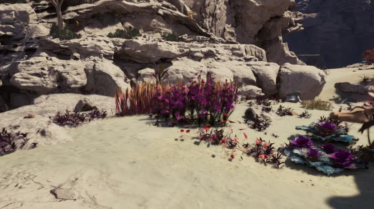 วัชพืชของแอดเมธ