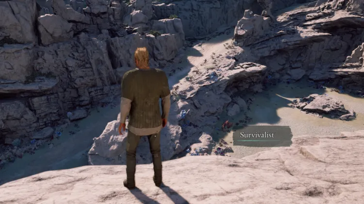 Clé de Coffre de Survivaliste