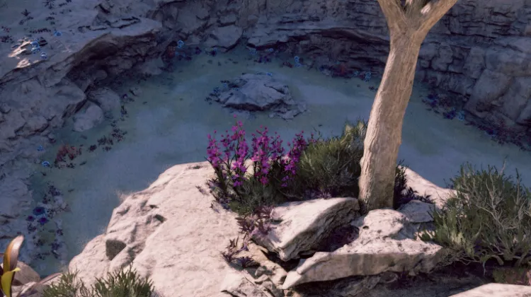 วัชพืชของแอดเมธ