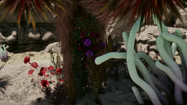 Baccello dell'Anima Dimenticata