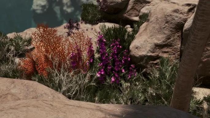 วัชพืชของแอดเมธ