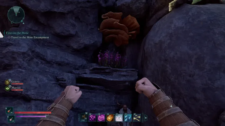 วัชพืชของแอดเมธ