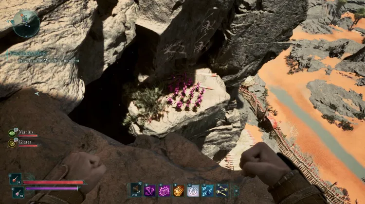 วัชพืชของแอดเมธ