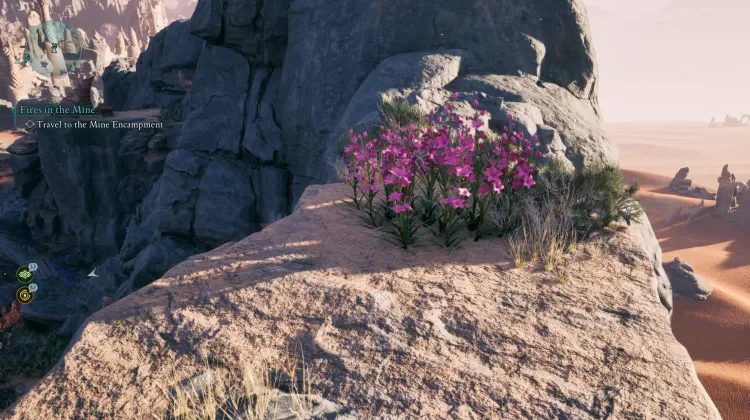 วัชพืชของแอดเมธ