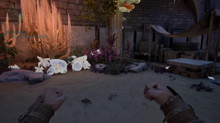 วัชพืชของแอดเมธ