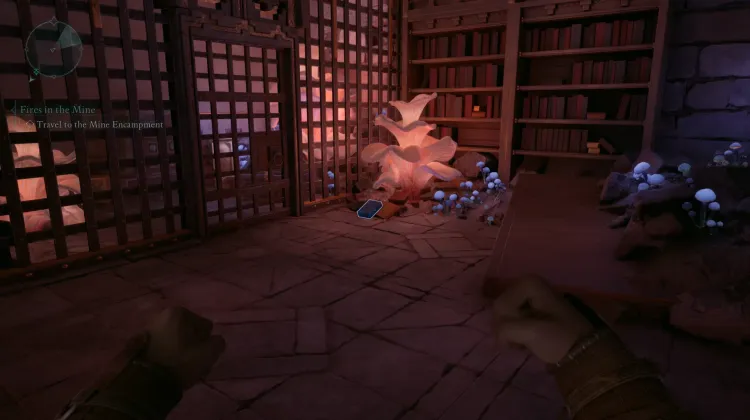 Maximes des Pargrunen IV