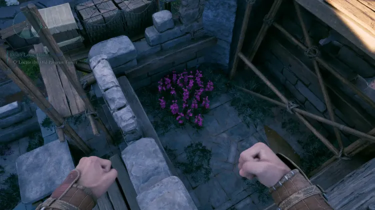 วัชพืชของแอดเมธ