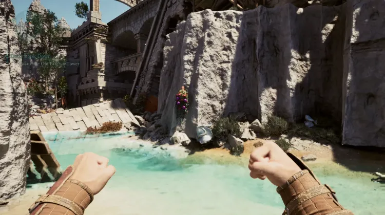 Baccello dell'Anima Dimenticata