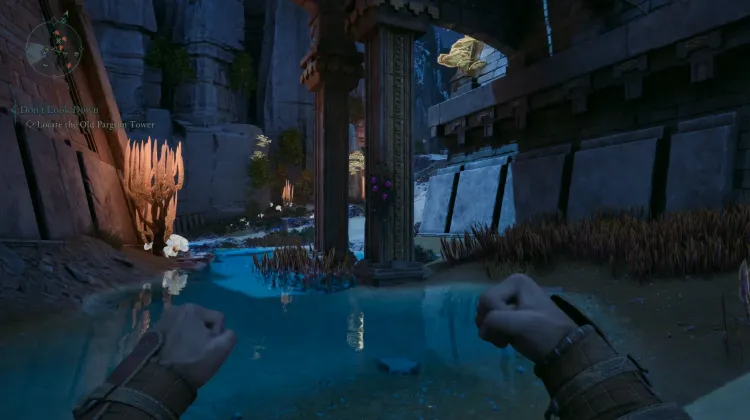 Baccello dell'Anima Dimenticata