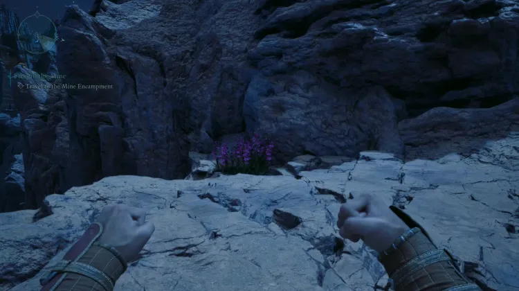 วัชพืชของแอดเมธ