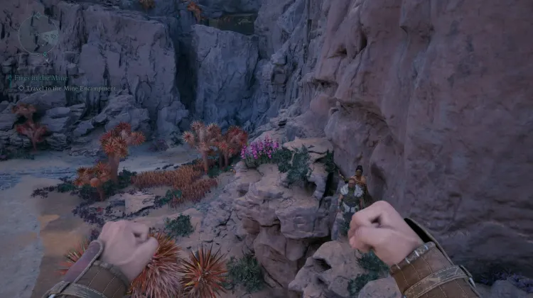 วัชพืชของแอดเมธ