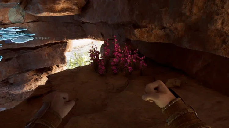 วัชพืชของแอดเมธ