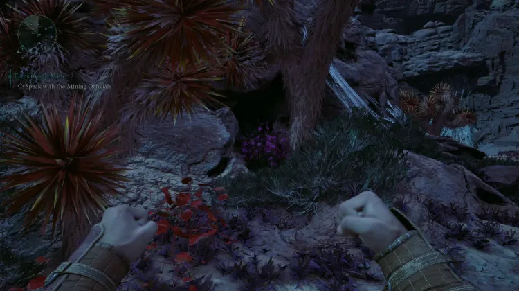 วัชพืชของแอดเมธ