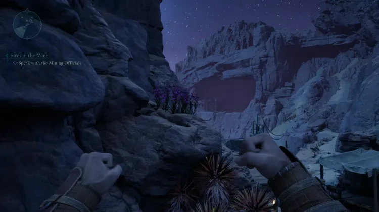 วัชพืชของแอดเมธ