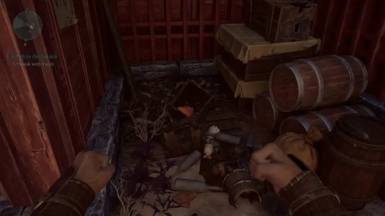 Carne Crua de Rusksnout