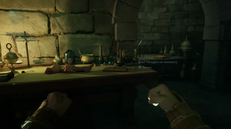 Canlılık Üzerine Kısa Düşünceler