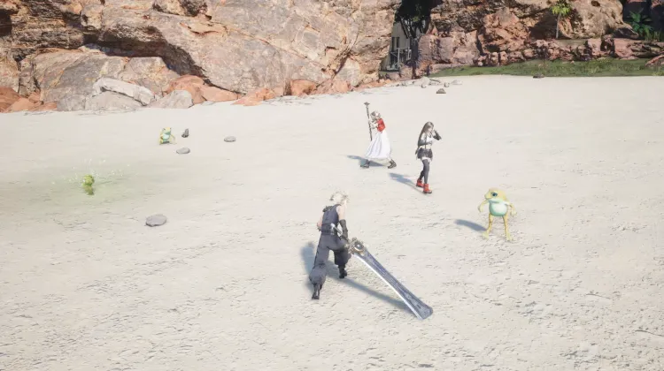 Frightflower & Amphidex