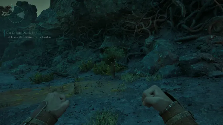 หินปาล์ม