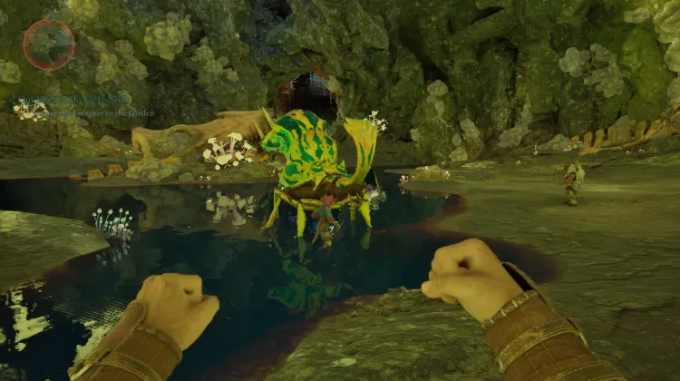 เมเทอร์ แมร์