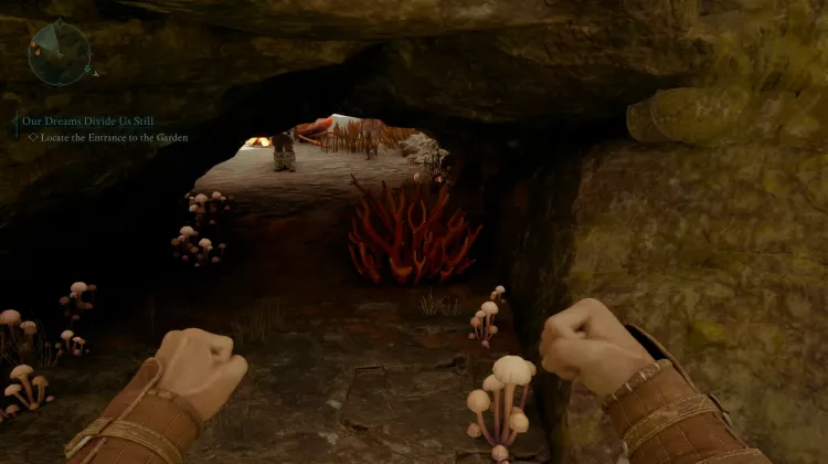 ปะการังถ้ำ