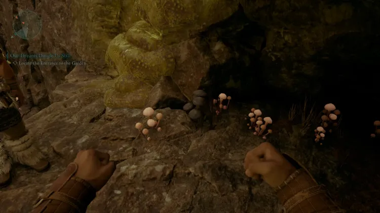 หญ้าเงา