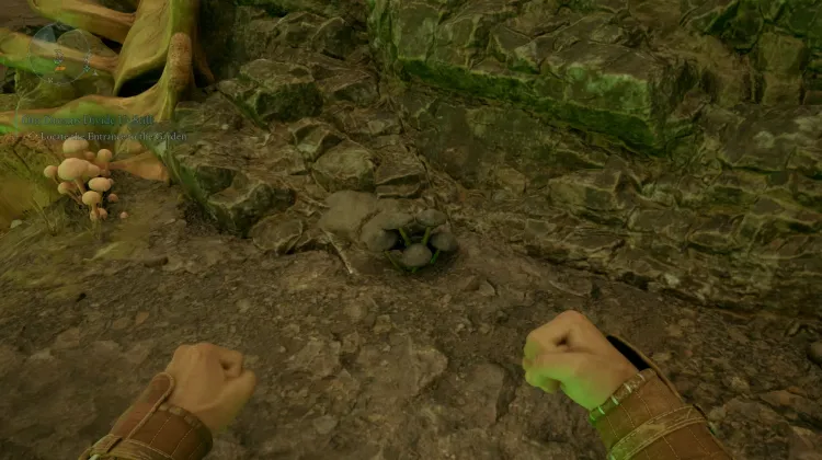 หญ้าเงา