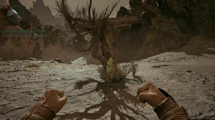 ลูกธนูของผู้ตั้งถิ่นฐาน