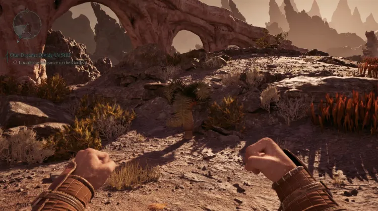 หินปาล์ม