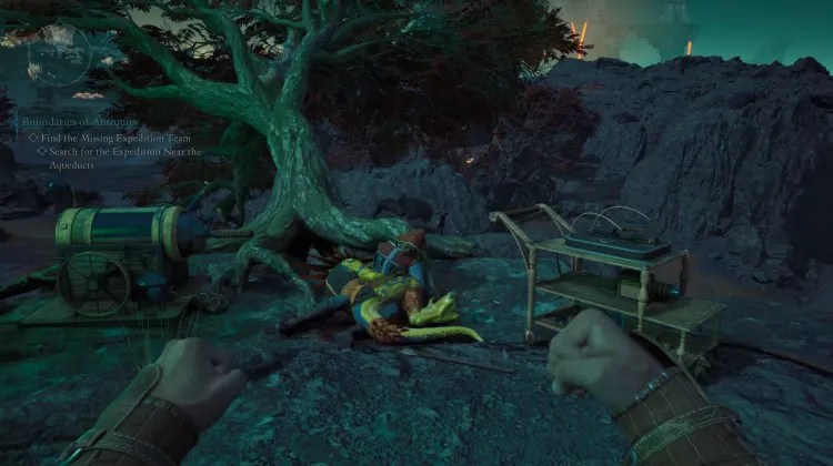 Diary of an Animancer