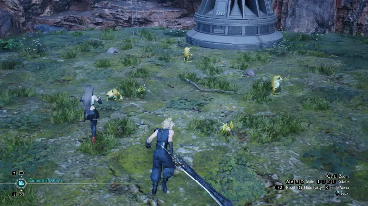 Amphidex & Frightflower