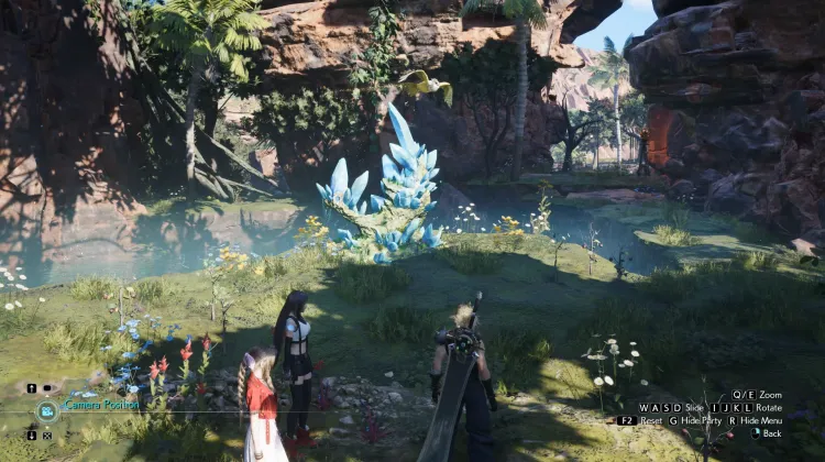 Clearwater Lifespring