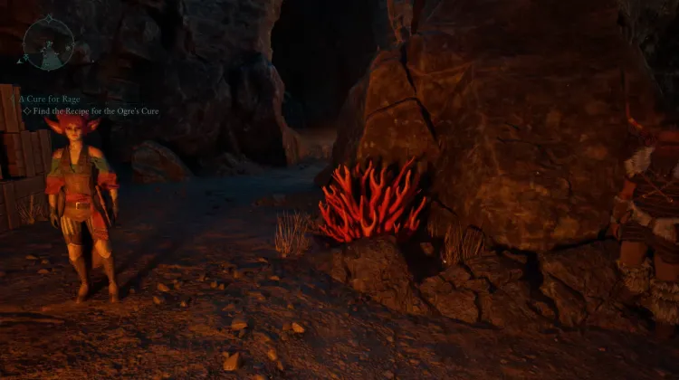 ถ้ำปะการัง