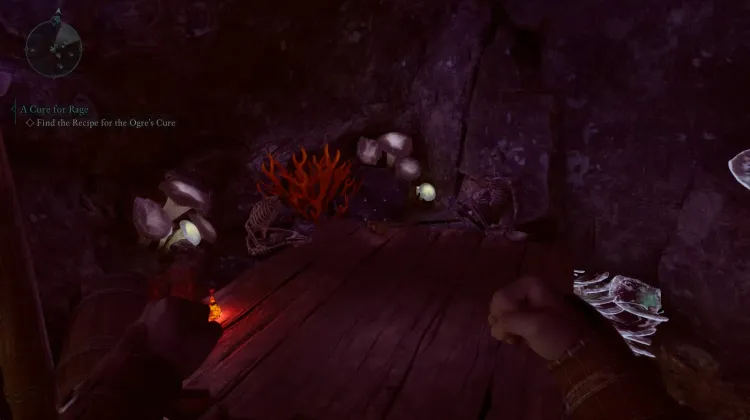 ปะการังถ้ำ