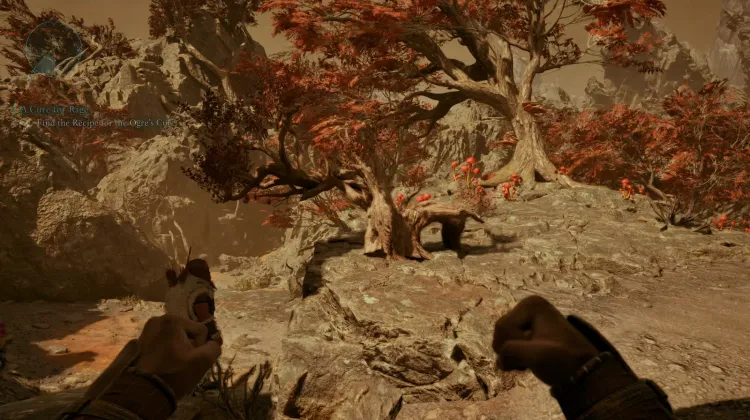 เมลอนหัวใจสับ