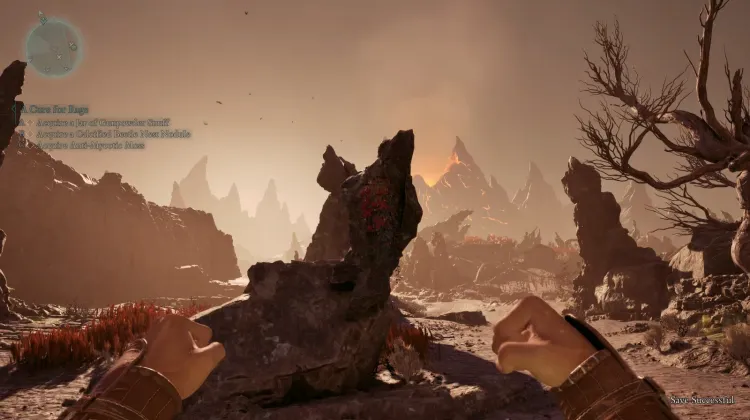 Baccello dell'Anima Dimenticata