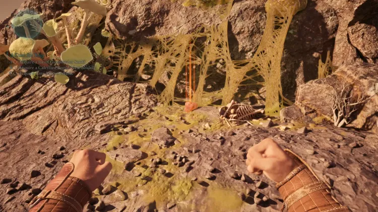 รังด้วงไฟที่แข็งตัว