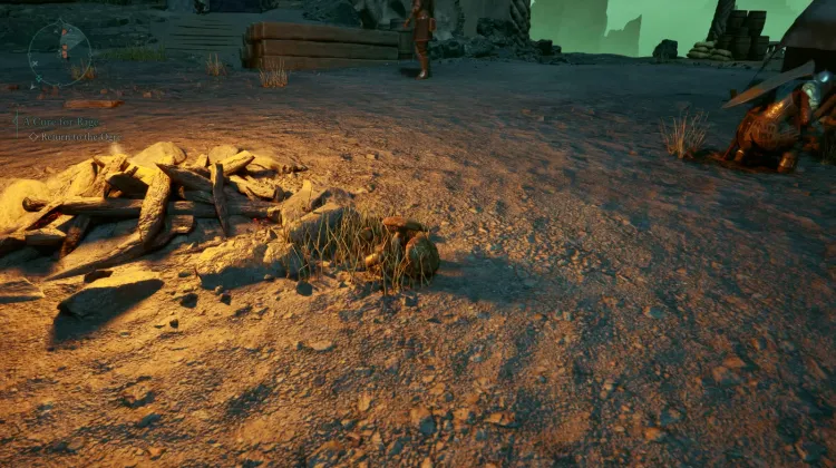 หญิงสาวที่ถูกเผา