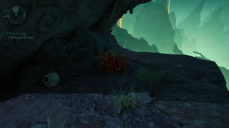 ปะการังถ้ำ