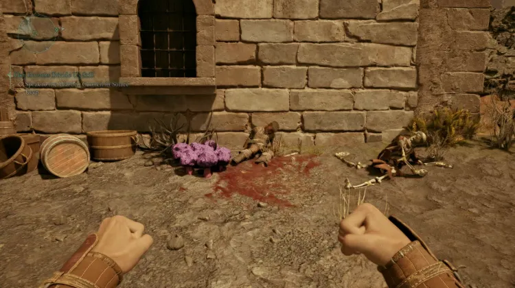 โซลสปันจ์