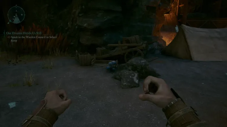 กระดูกสเคน