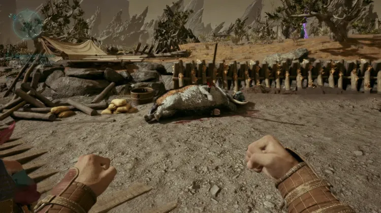 กระดูกสเคน