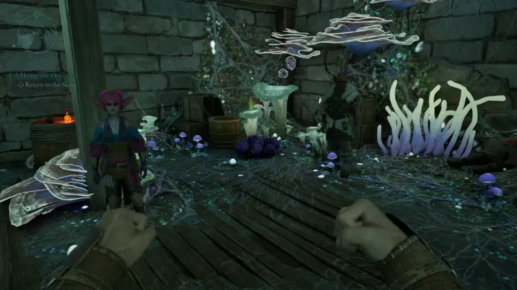 โซลสปันจ์