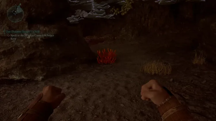 ปะการังถ้ำ