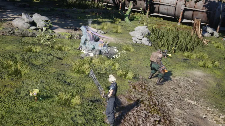 Gagighandi & Frightflower