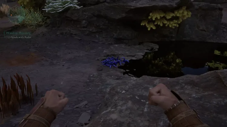 แตรเครเคน