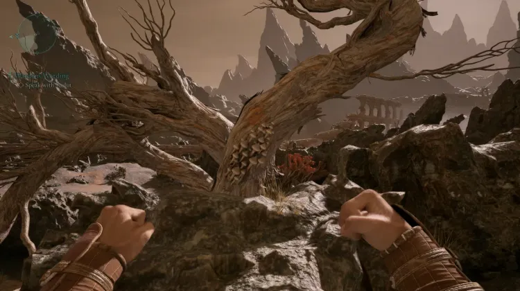 ลูกธนูของผู้ตั้งถิ่นฐาน