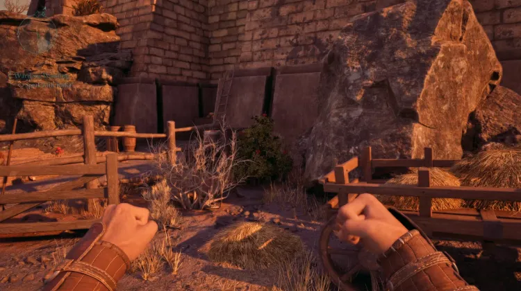 สปริงเบอร์รี่